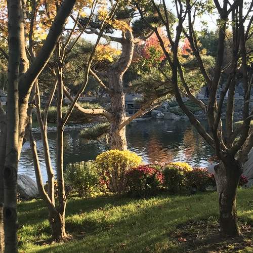 Photo #13321699