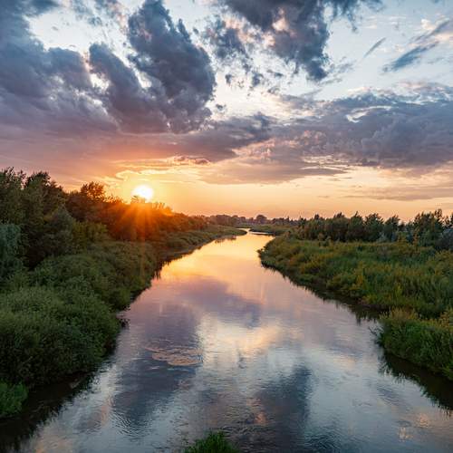 Photo #13321728