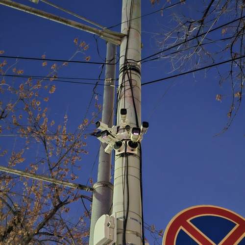 Photo #13321765