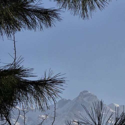 Photo #13321766