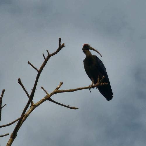 Photo #13321834