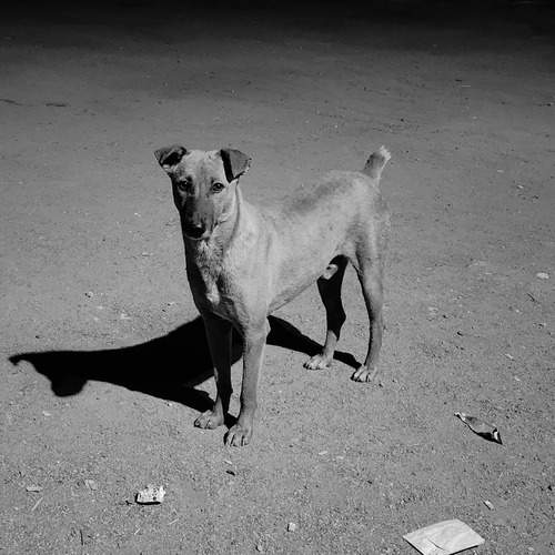 Photo #13321839