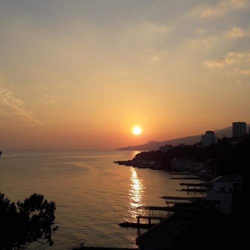 Photo #13321872