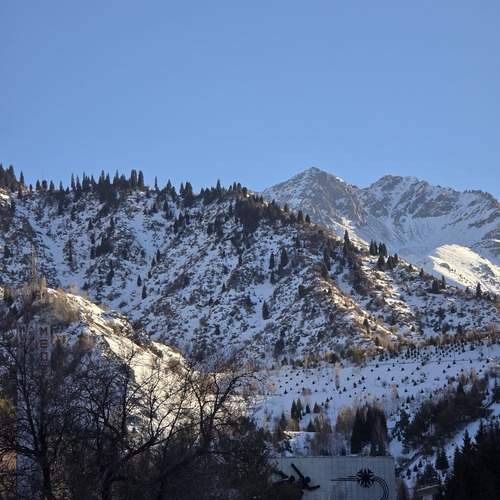 Photo #13321881
