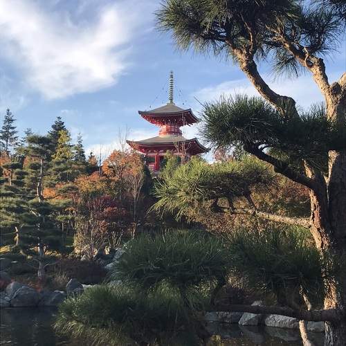 Photo #13322036