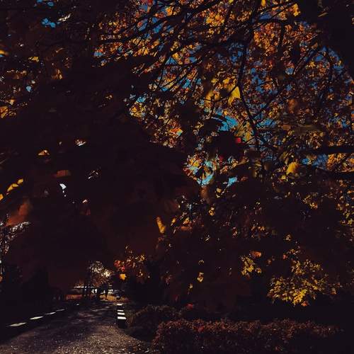 Photo #13322065