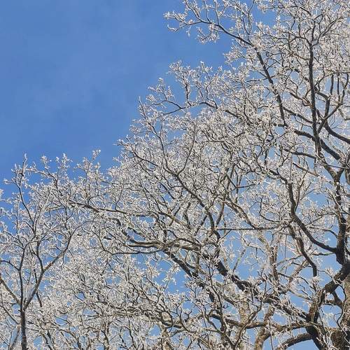 Photo #13322067