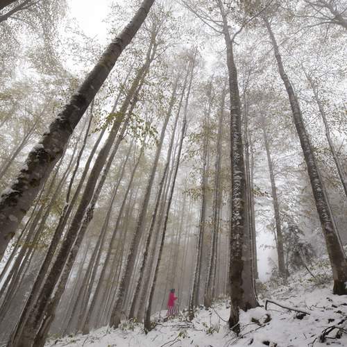 Photo #13322208