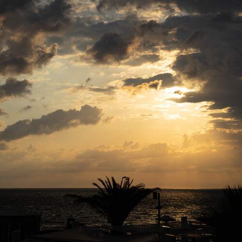 Photo #13322353