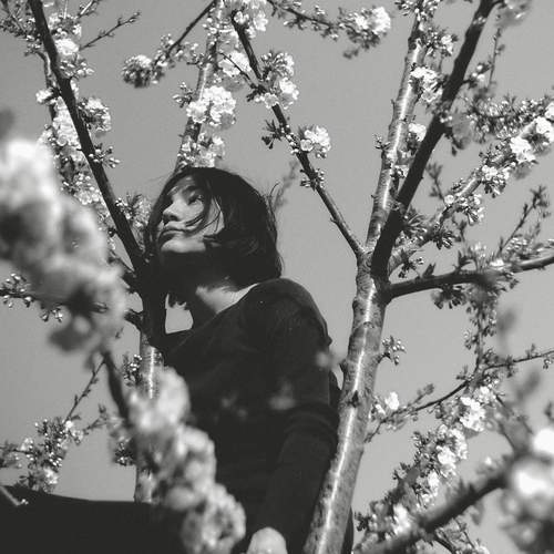 Photo #13322536