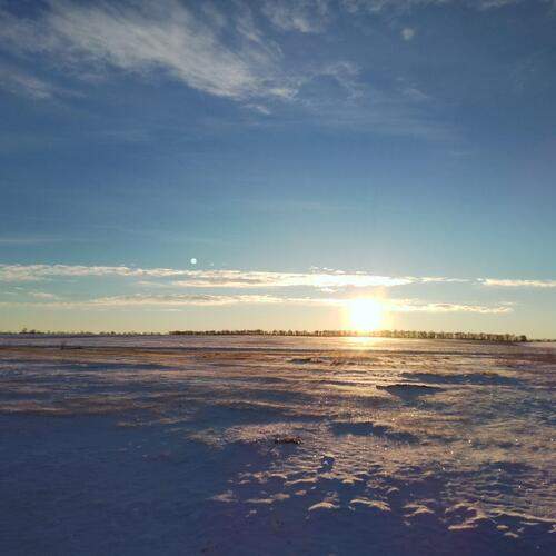 Photo #13322621