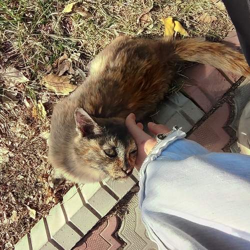Photo #13322637
