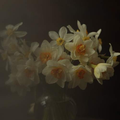 Photo #13322993