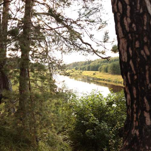 Photo #13323011