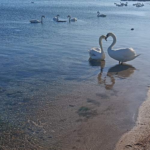 Photo #13323061