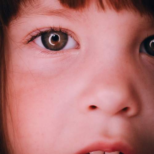Photo #13323063