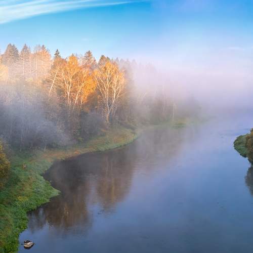 Photo #13323326