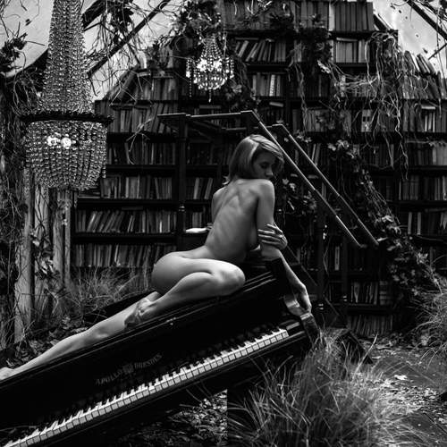 Photo #13323332