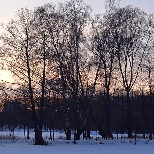 Photo #13323411