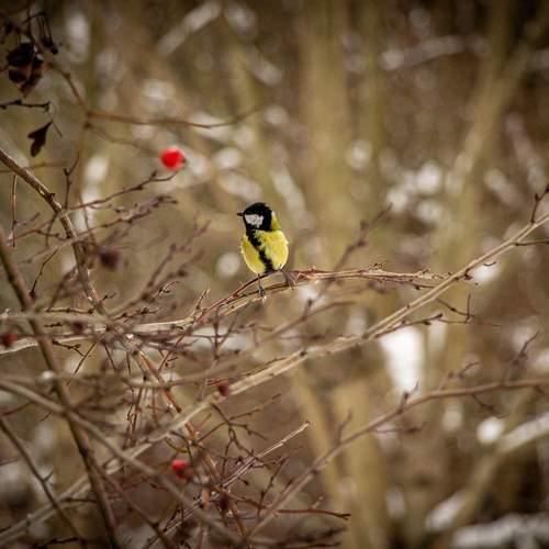 Photo #13323431