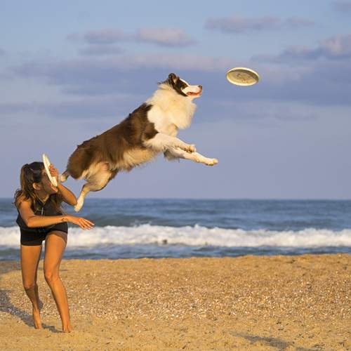 Photo #13323450