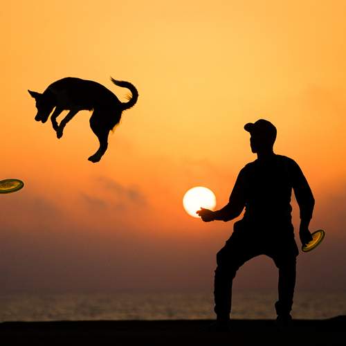 Photo #13323457
