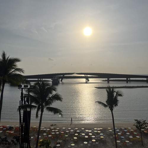 Photo #13323468