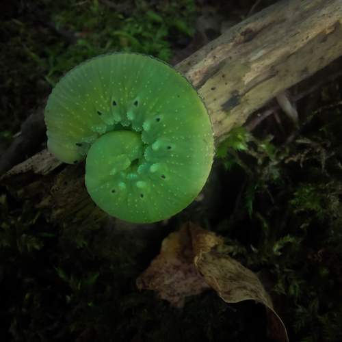 Photo #13323477