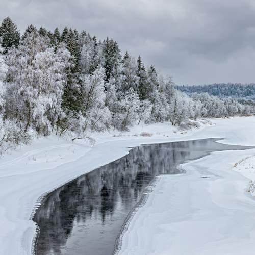 Photo #13323487
