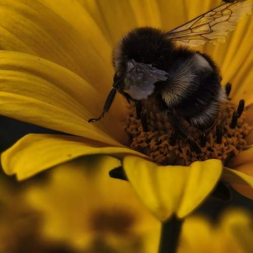 Photo #13323501