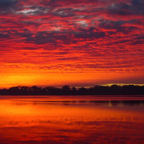 Photo #13323558