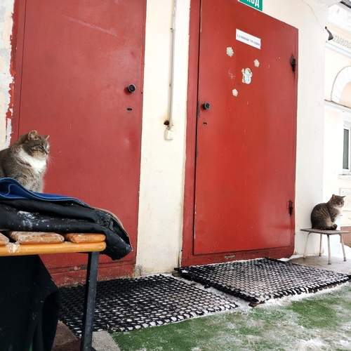 Photo #13323586