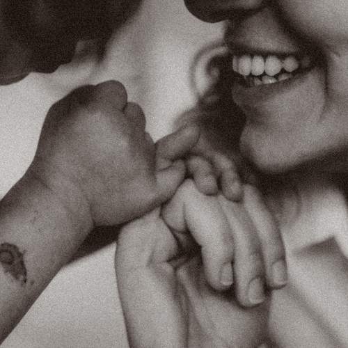 Photo #13323622
