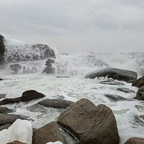 Photo #13323856