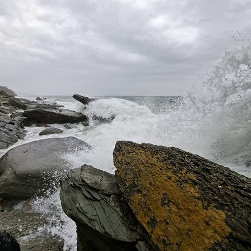 Photo #13323894