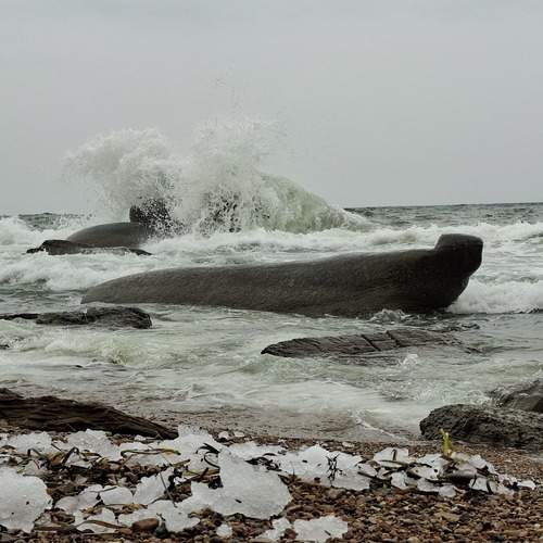 Photo #13323902