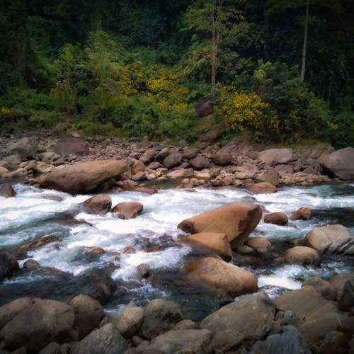 Photo #13323916