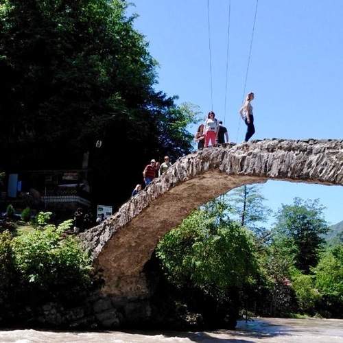 Photo #13323919