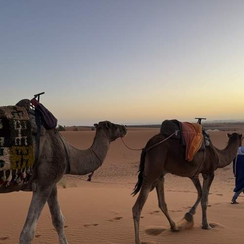 Фотография #13324006