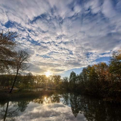 Photo #13324007