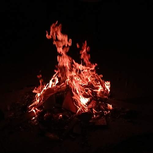 Photo #13324010