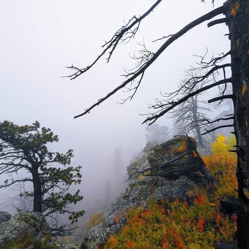 Фотография #13324015