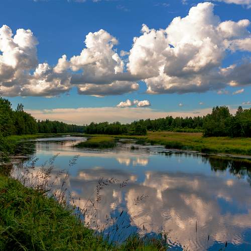 Фотография #13324084