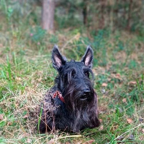 Photo #13324096