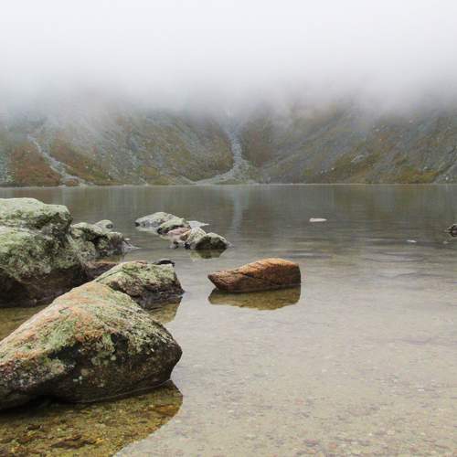 Photo #13324105