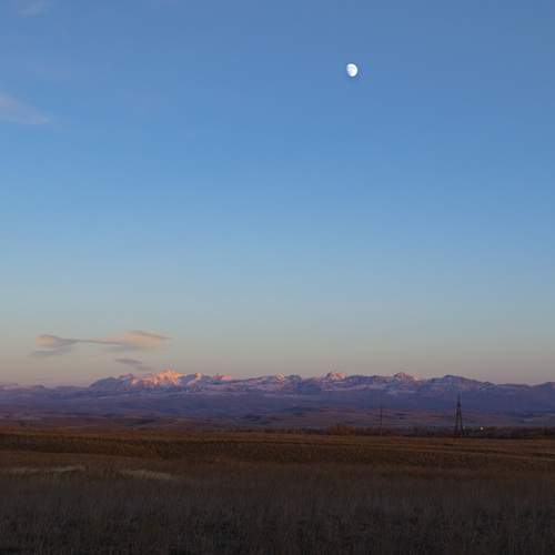 Photo #13324142