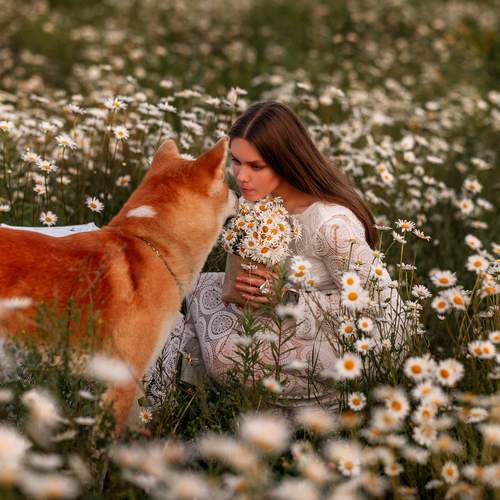 Photo #13324166