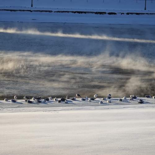 Photo #13324167