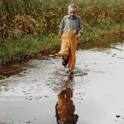 Photo #13324204