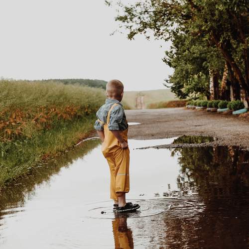 Photo #13324206